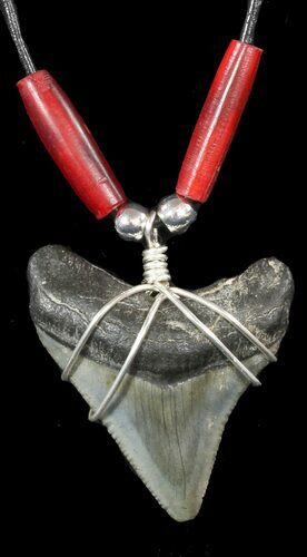 Fossil Megalodon Tooth Necklace #47530